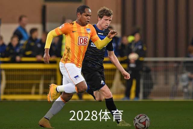 2028体育公司简介展示图